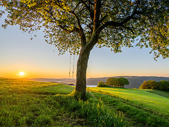 So. 01. März 2026 12.45 Uhr﻿